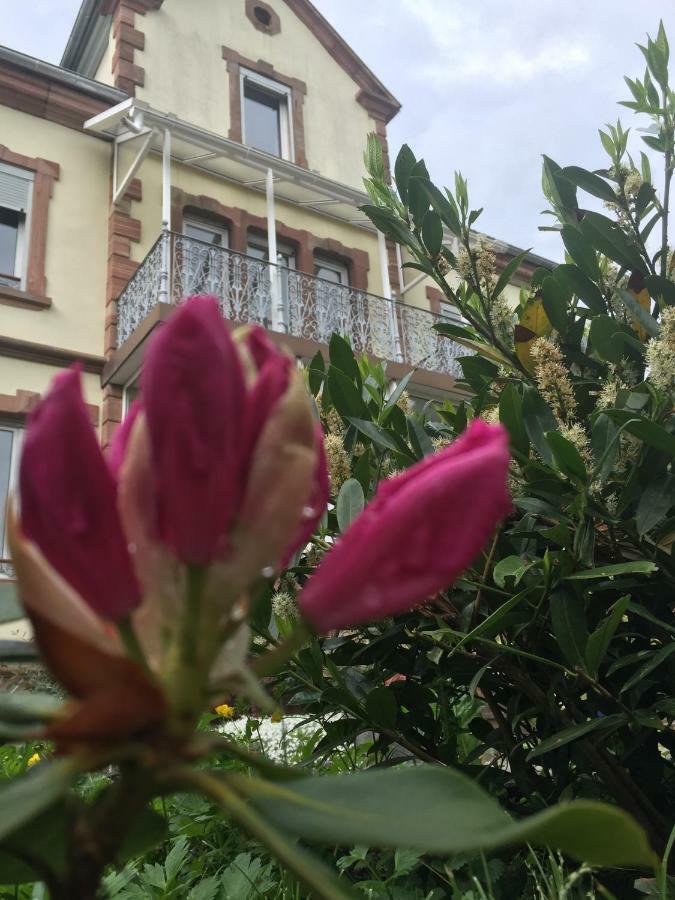 L'Aromeantic Apartment Rothau ภายนอก รูปภาพ